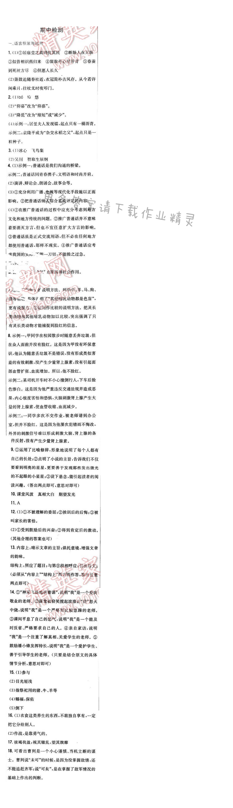 2016年新编基础训练九年级语文下册苏教版 期中检测