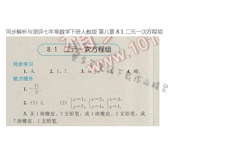 同步解析与测评七年级数学下册人教版 第八章 8.1 二元一次方程组