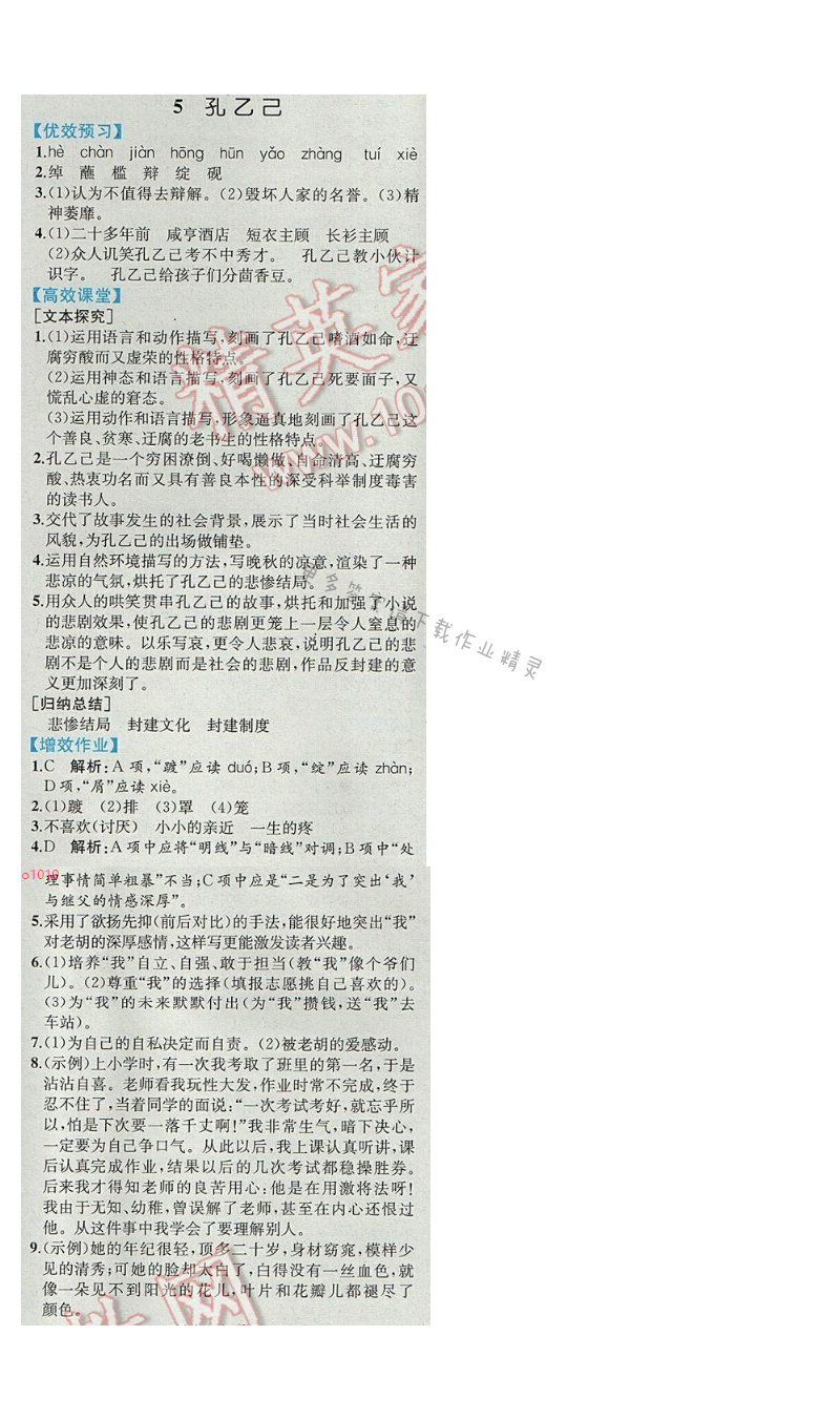 同步解析与测评九年级语文下册人教版 5.孔乙己
