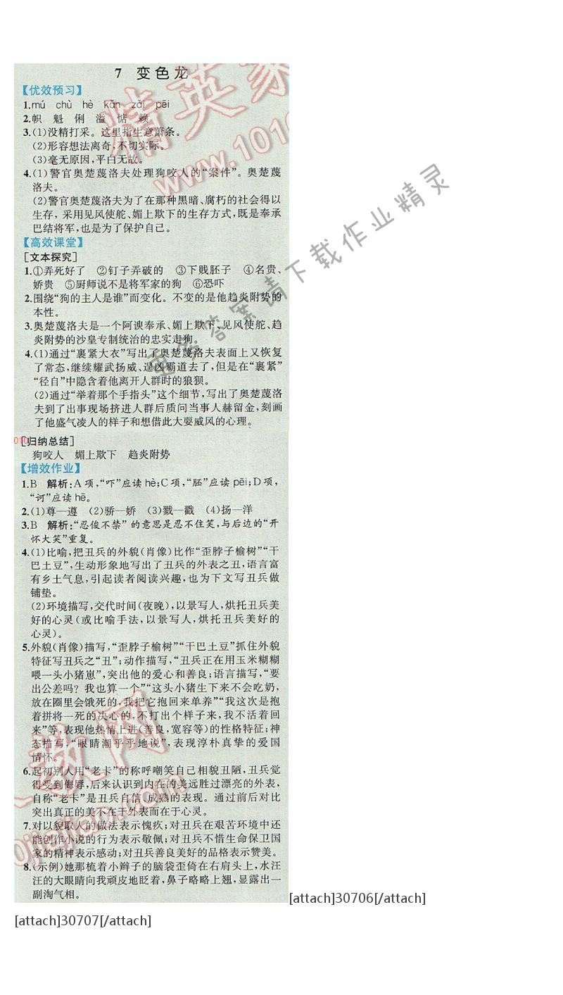 同步解析与测评九年级语文下册人教版 7.变色龙