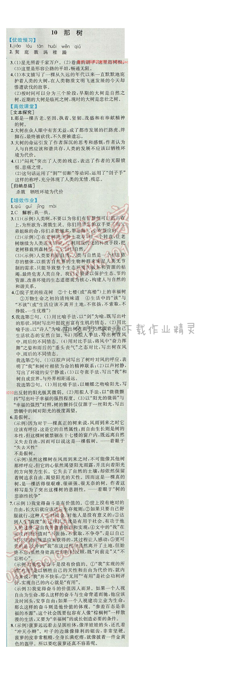 同步解析与测评九年级语文下册人教版 10.那树