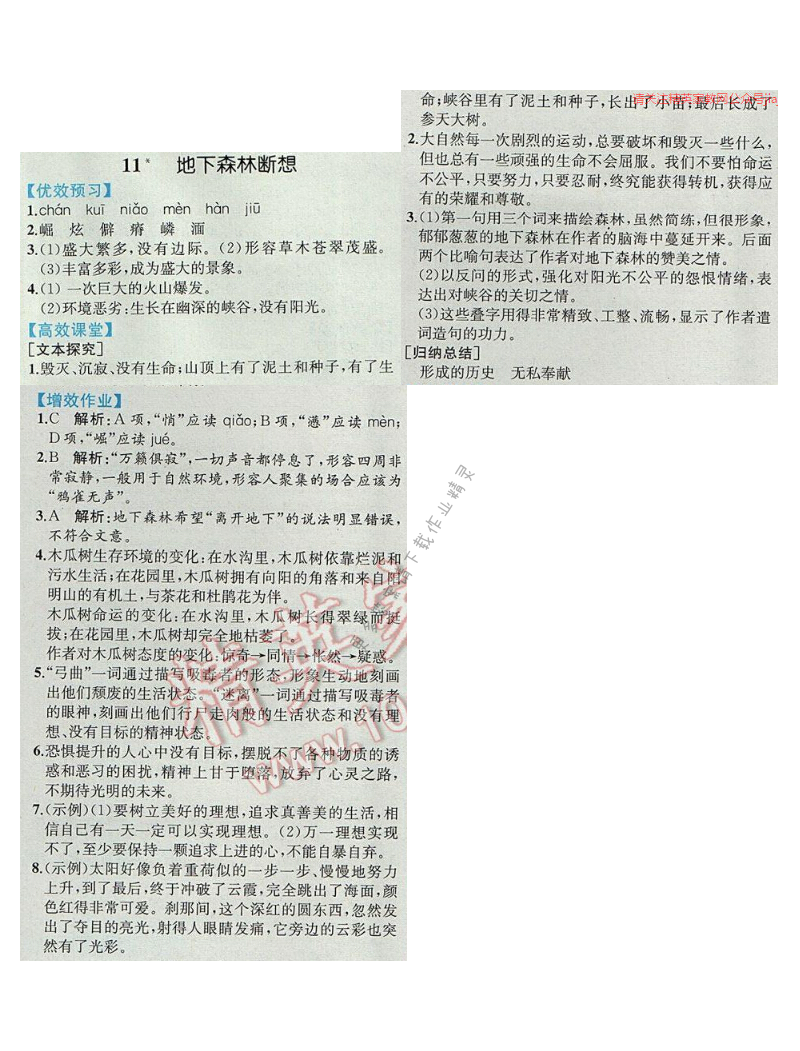 同步解析与测评九年级语文下册人教版 11.地下森林断想