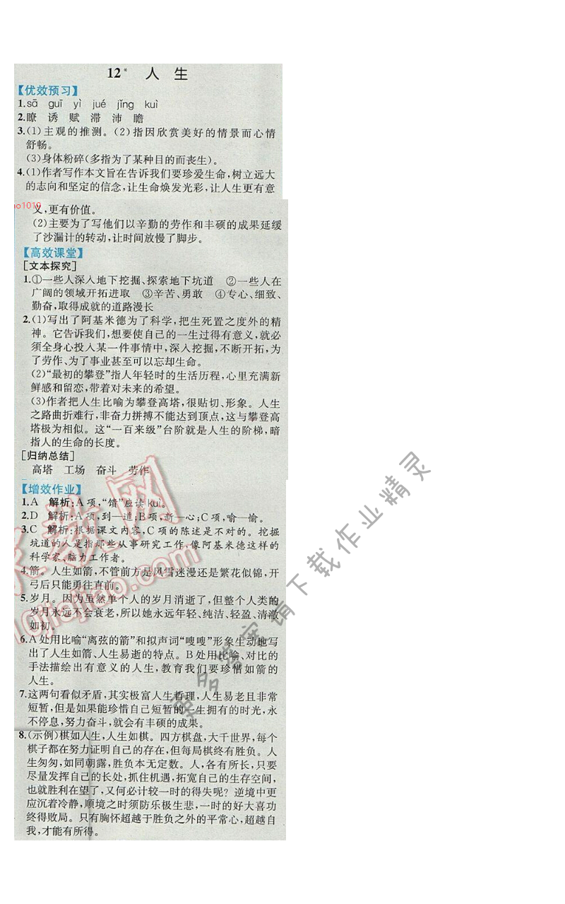 同步解析与测评九年级语文下册人教版 12.人生
