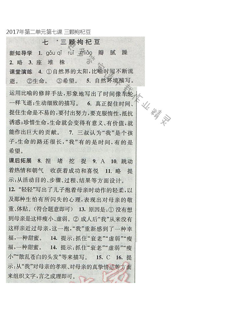 2017年第二单元第七课 三颗枸杞豆