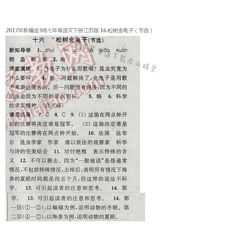 2017年新编金3练七年级语文下册江苏版 16.松树金龟子（节选）