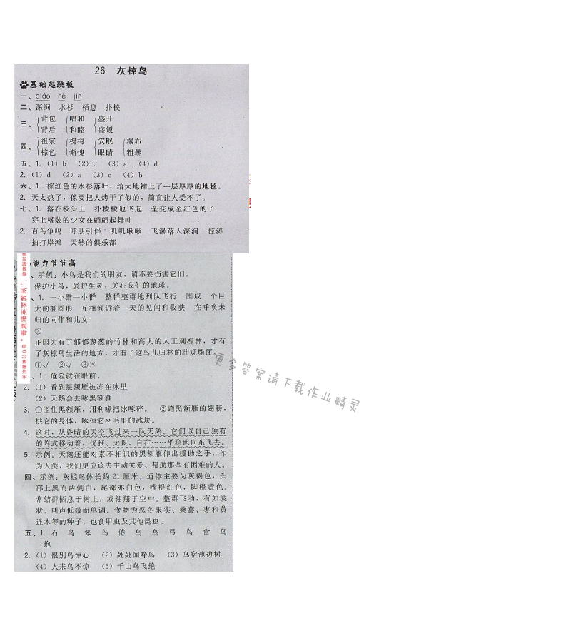 2017年综合应用创新题典中点五年级语文下册苏教版 第七单元 26.灰掠鸟