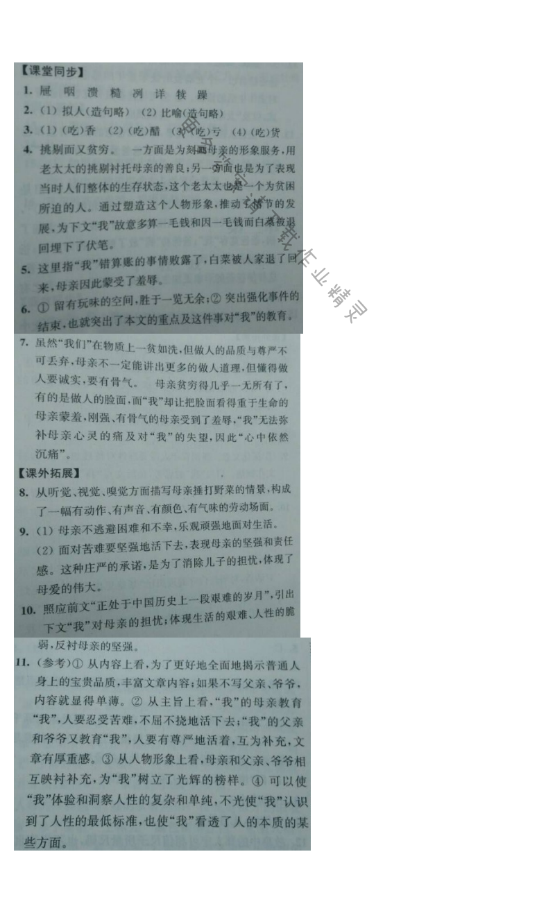 6. 卖白菜同步练习答案