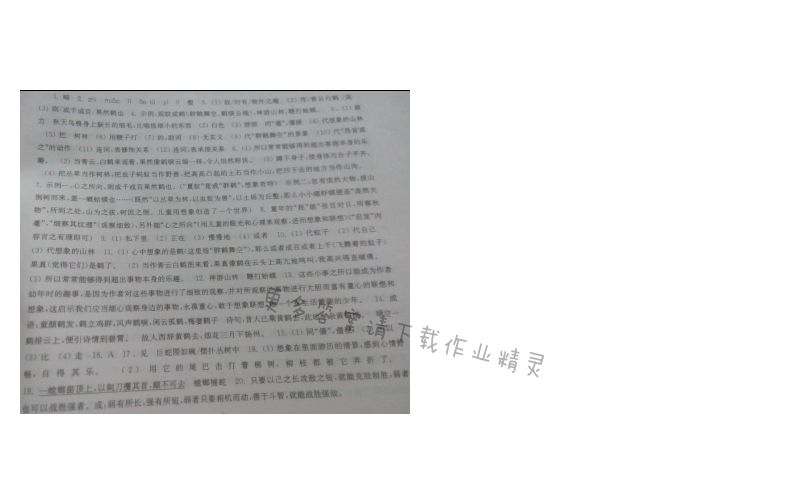 苏教版七年级语文幼时记趣伴你学答案