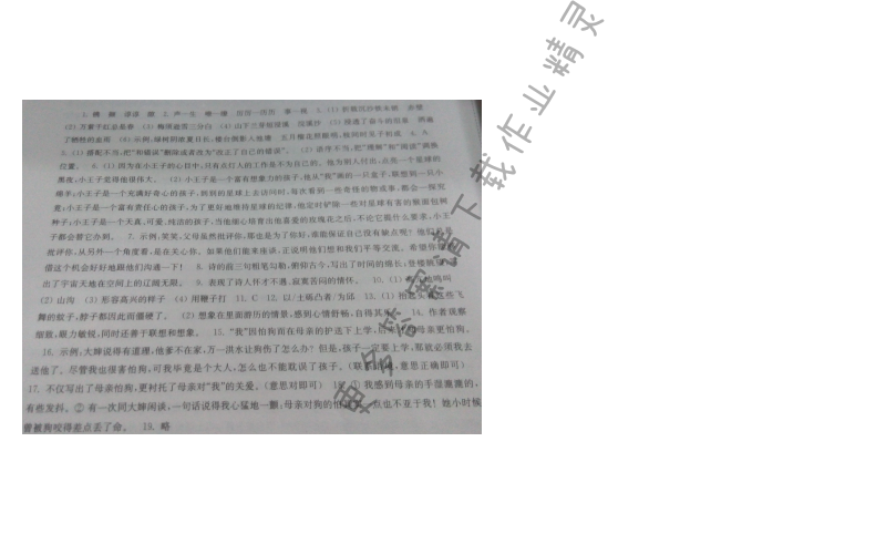 苏教版七年级语文第二单元导测伴你学答案
