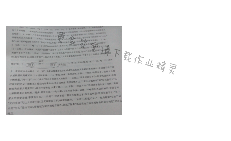 苏教版七年级语文端午日伴你学答案