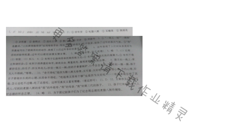 苏教版七年级语文本命年的回想伴你学答案