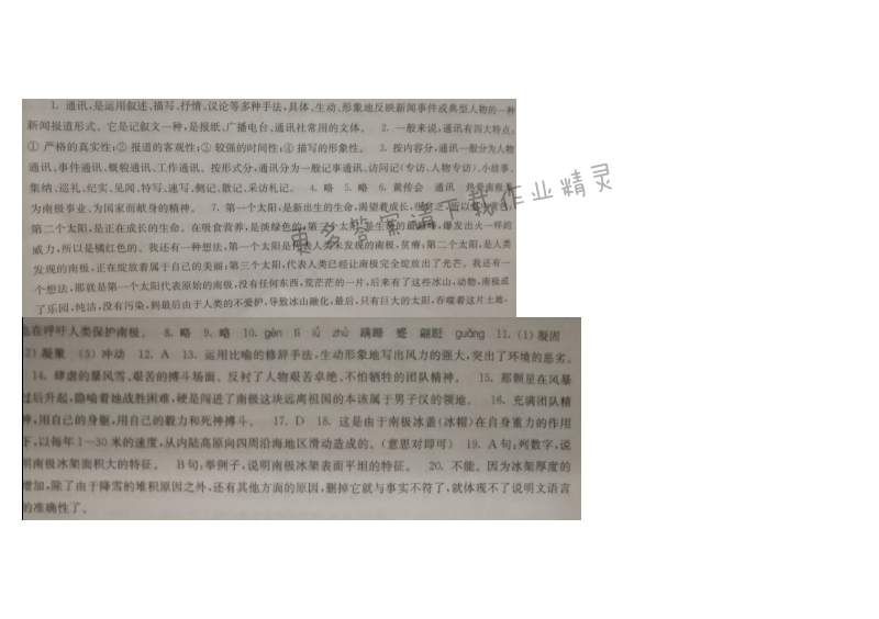 苏教版七年级语文三个太阳伴你学答案