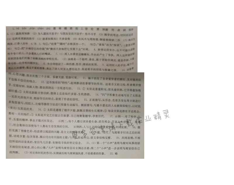 苏教版七年级语文第六单元导测伴你学答案