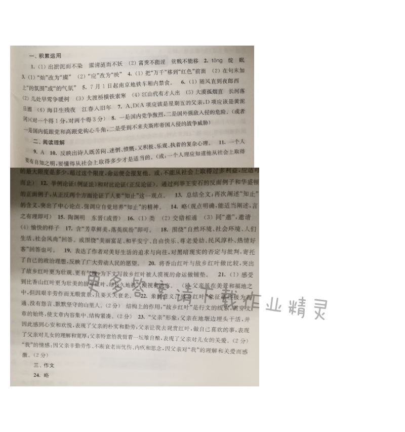 苏教版九年级语文同步练习测试卷综合测试卷（二）答案