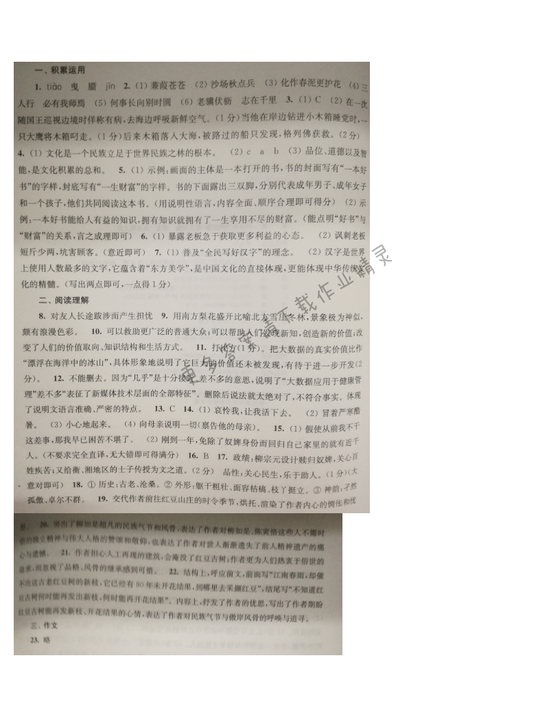 苏教版九年级语文同步练习测试卷综合测试卷（四）答案