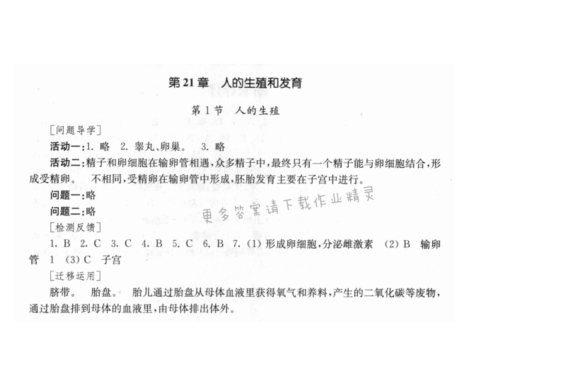 第7单元第21章第1节人的生殖 - 伴你学八年级生物上册苏科版第21章第1节