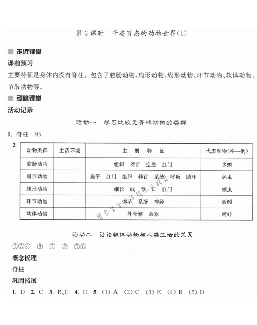 第十四章 第3课时 千姿百态的动物世界（1） - 伴你学八年级生物上册苏教版第十四章第3课时