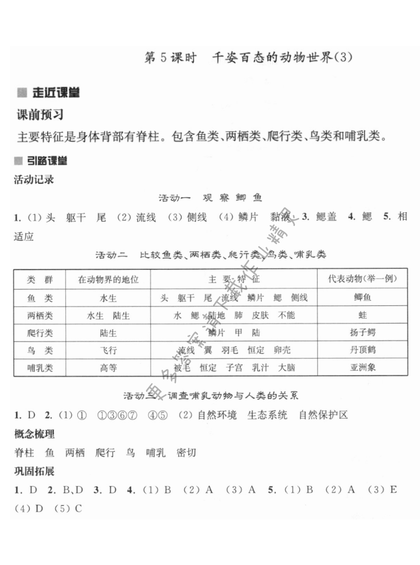第十四章 第5课时 千姿百态的动物世界（3） - 伴你学八年级生物上册苏教版第十四章第5课时