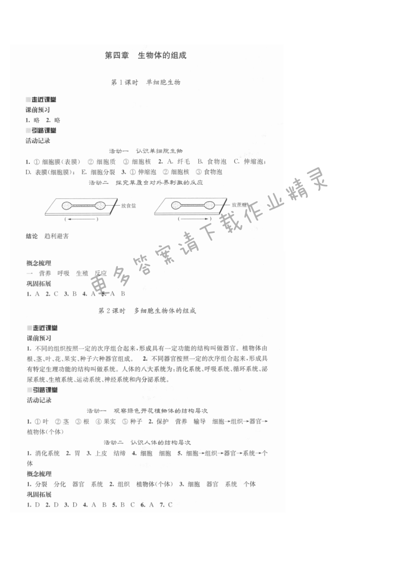 第四章生物体的组成 - 伴你学七年级生物上册（苏教版）第四章生物体的组成