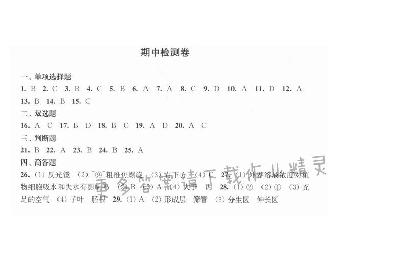 期中检测卷 - 伴你学七年级生物上册（苏教版）期中检测卷