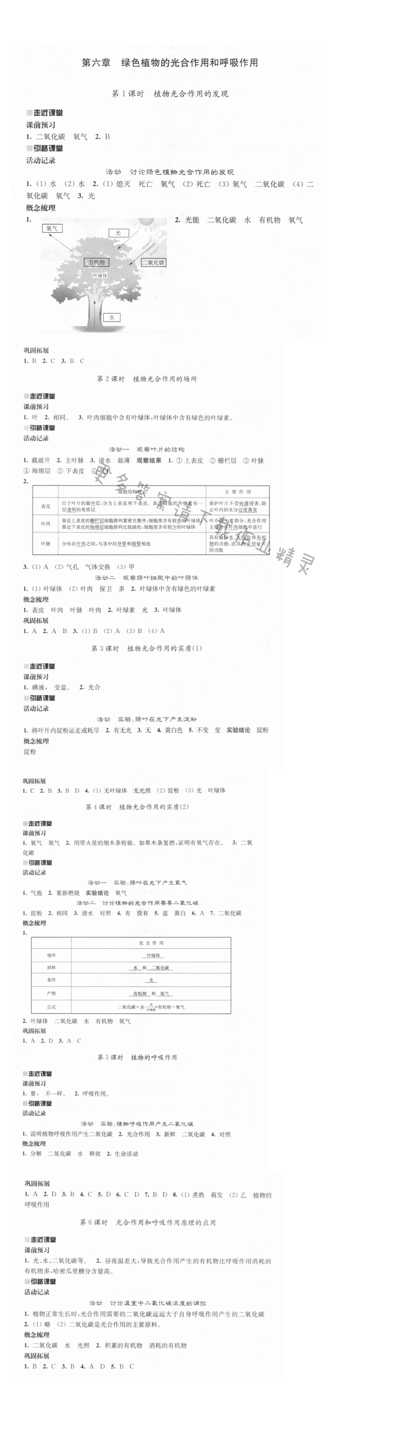 第六章绿色植物的光合作用和呼吸作用 - 伴你学七年级生物上册（苏教版）第六章绿色植物的光合作用和呼吸作用