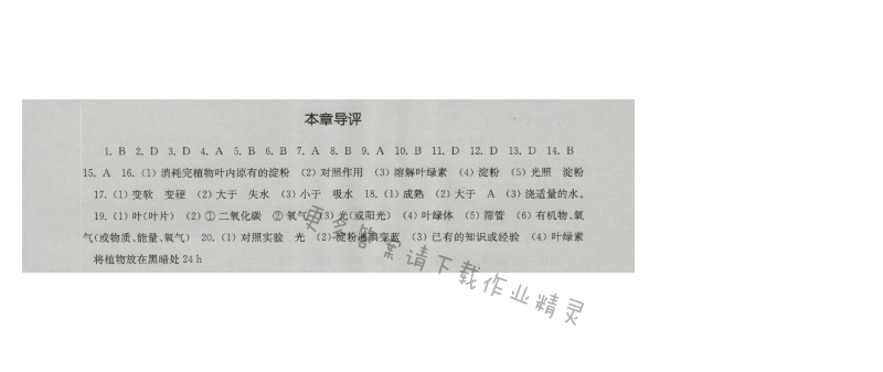 伴你学七年级生物上册（苏科版）第4章本章导评