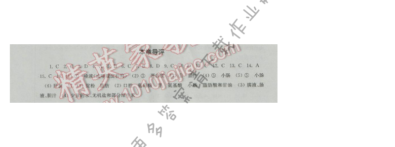 伴你学七年级生物上册（苏科版）第5章本章导评