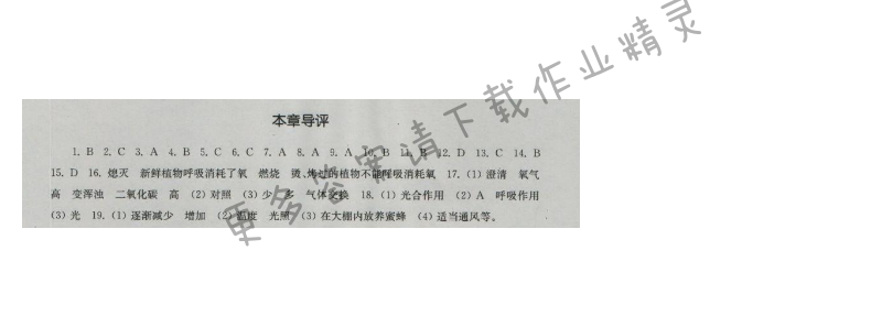 伴你学七年级生物上册（苏科版）第7章本章导评