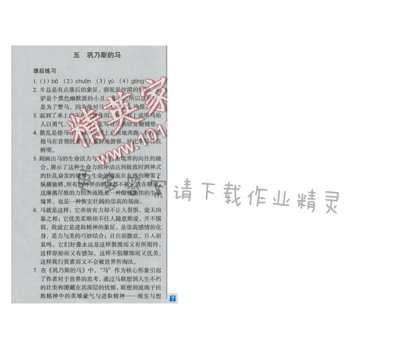 同步解析与测评九年级语文下册（人教版）五 巩乃斯的马
