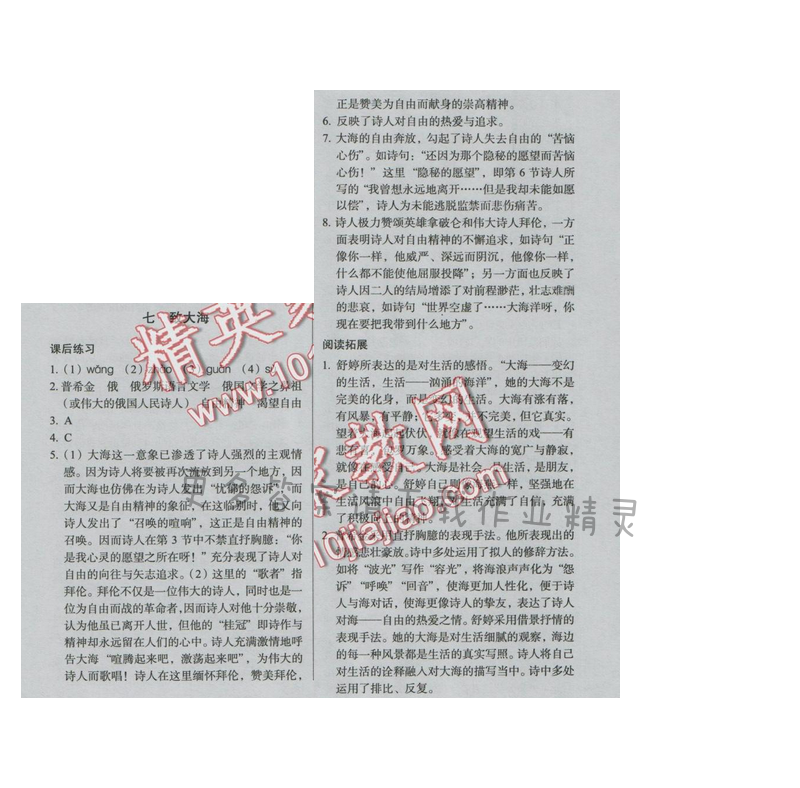 同步解析与测评九年级语文下册（人教版）七 致大海