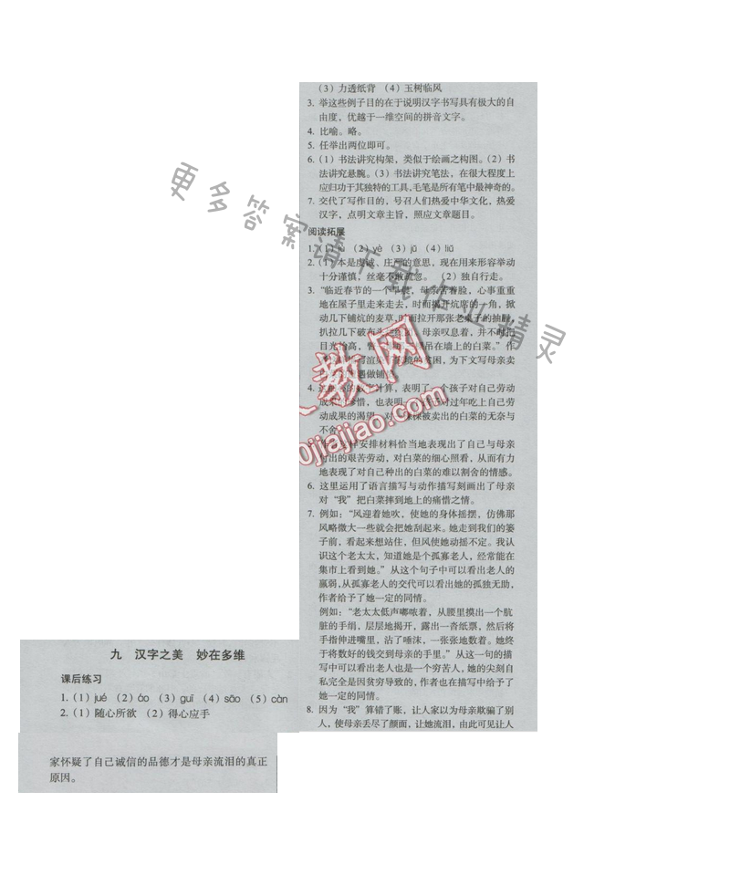 同步解析与测评九年级语文下册（人教版）九 汉字之美 妙在多维