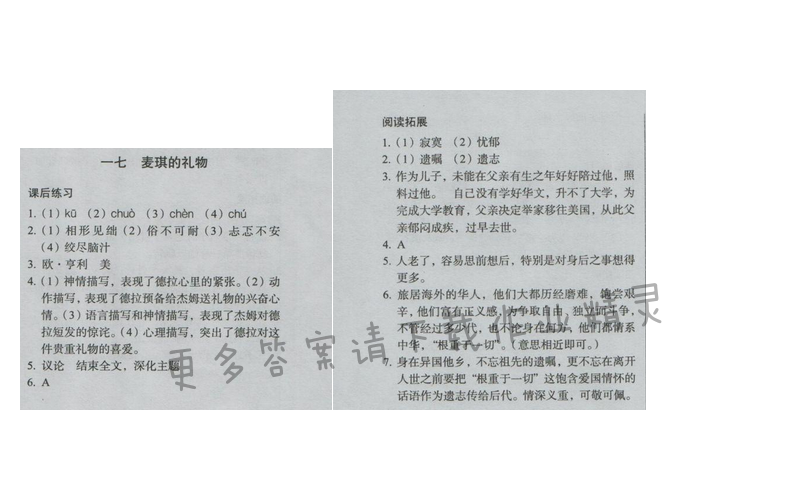 同步解析与测评九年级语文下册（人教版）十七 麦琪的礼物