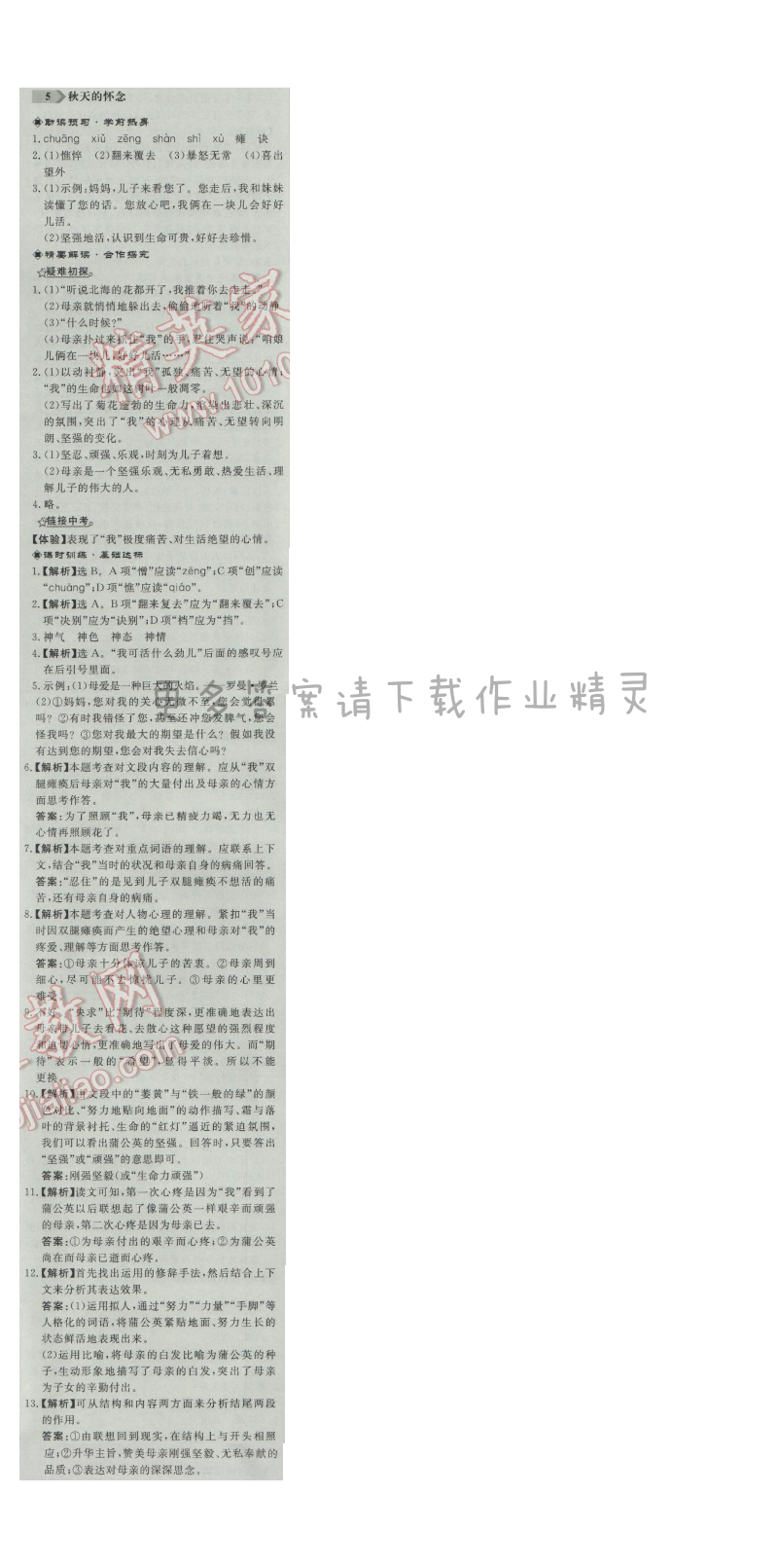 同步练习册七年级语文上册人教版 5. 秋天的怀念