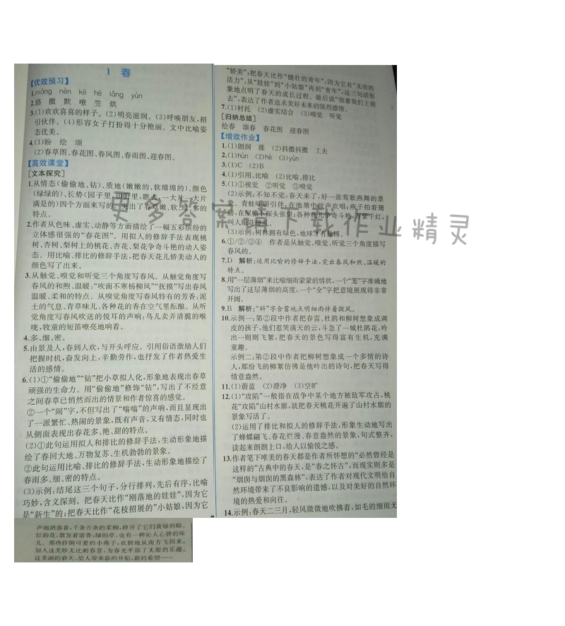 金学典同步解析与测评七年级语文上册（人教版）1.春