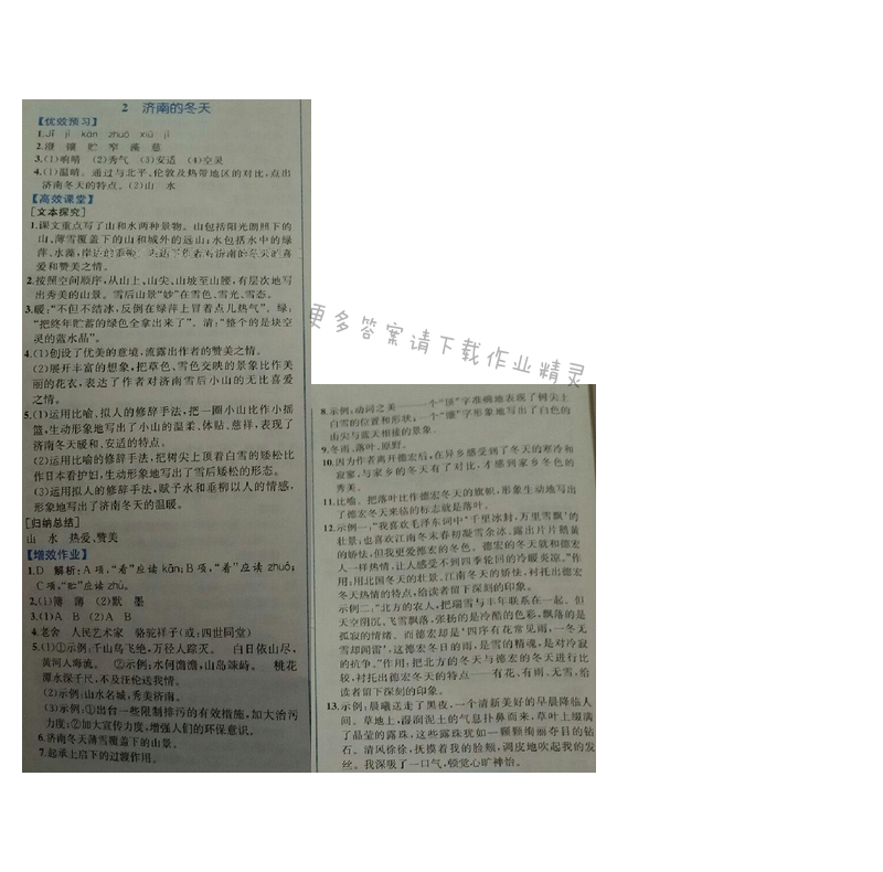 金学典同步解析与测评七年级语文上册（人教版）2.济南的冬天