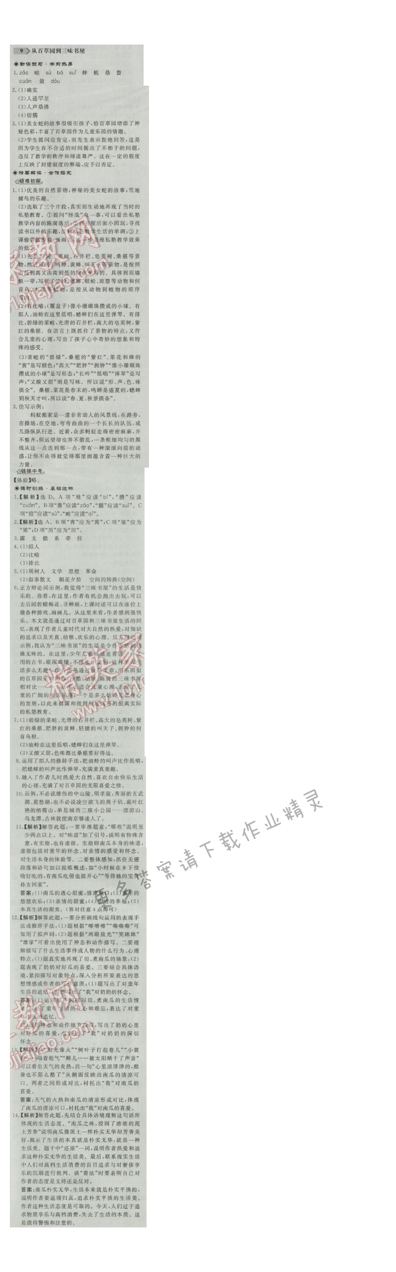 同步练习册七年级语文上册人教版 9.从白草园到三味书屋