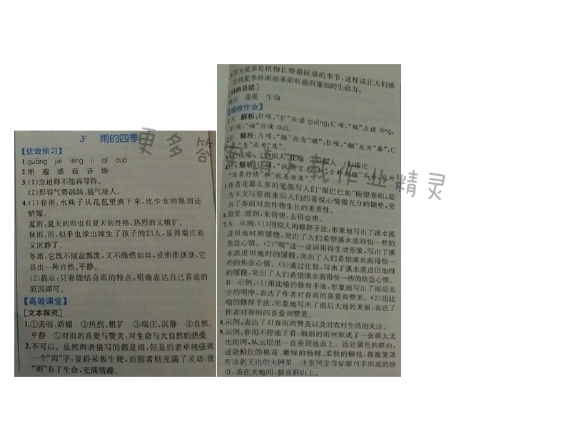 金学典同步解析与测评七年级语文上册（人教版）3.雨的四季