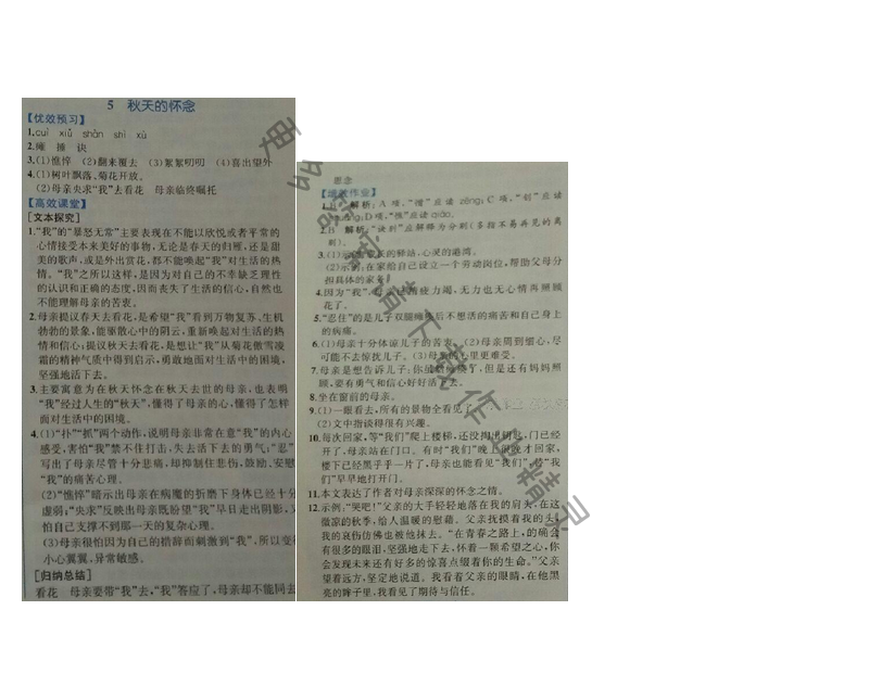 金学典同步解析与测评七年级语文上册（人教版）5.秋天的怀念