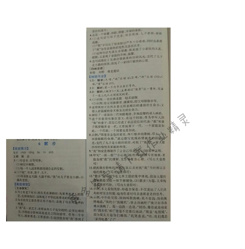 金学典同步解析与测评七年级语文上册（人教版）6.散步