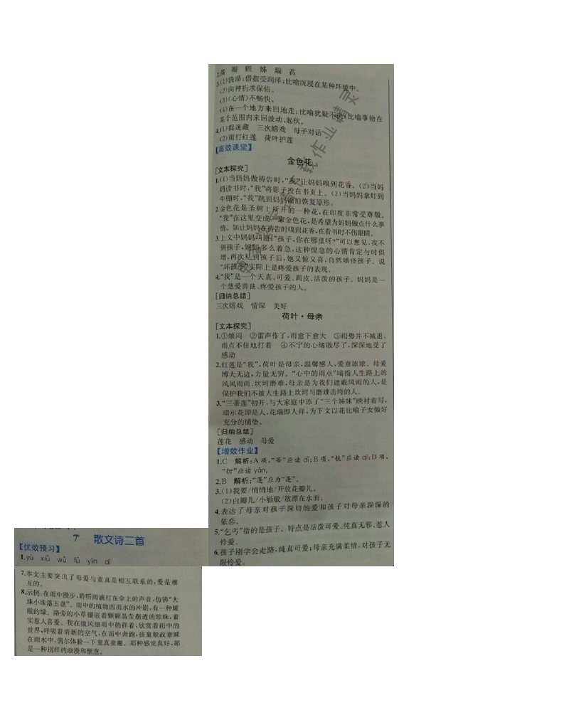 金学典同步解析与测评七年级语文上册（人教版）7.散文诗两首