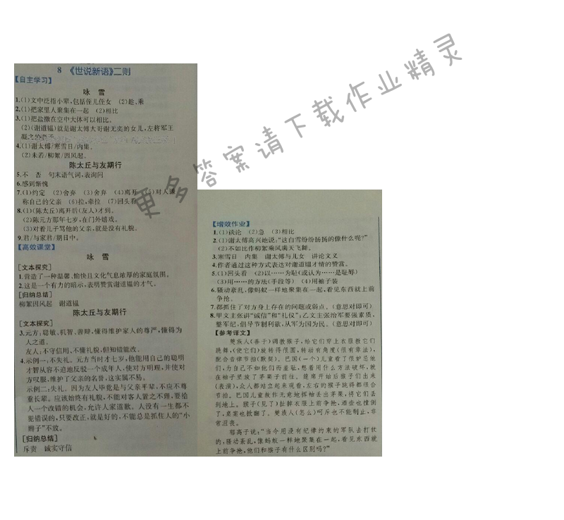 金学典同步解析与测评七年级语文上册（人教版）8.《世说新语》二则