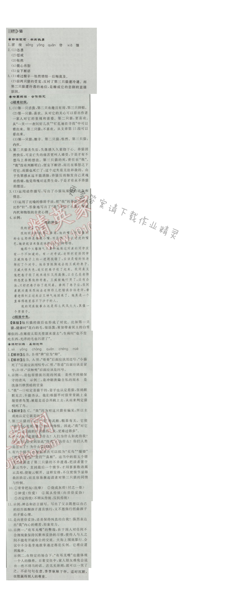 同步练习册七年级语文上册人教版 17. 猫