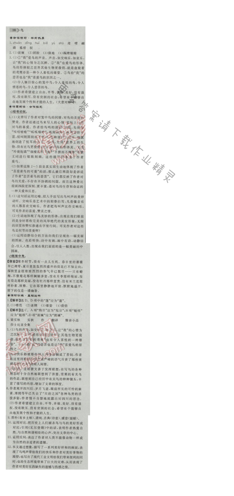 同步练习册七年级语文上册人教版 18.鸟
