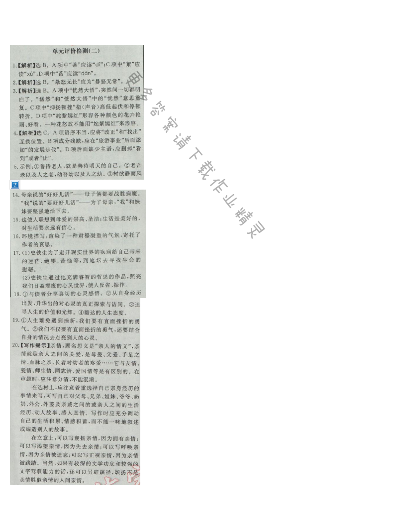 同步练习册七年级语文上册人教版 单元评价检测(二)