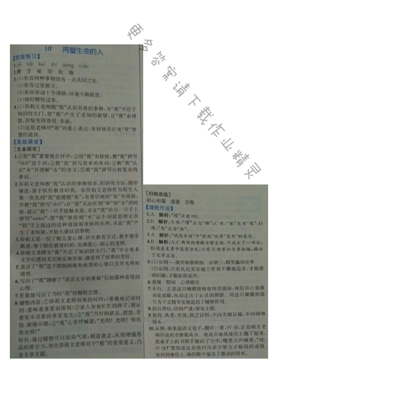 金学典同步解析与测评七年级语文上册（人教版）10.再塑生命的人