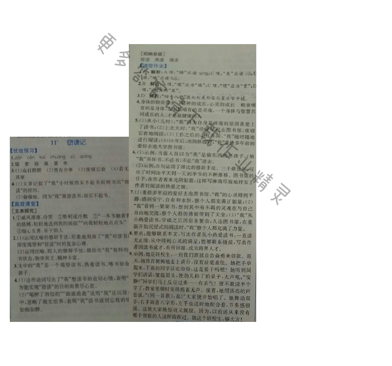 金学典同步解析与测评七年级语文上册（人教版）11.窃读记