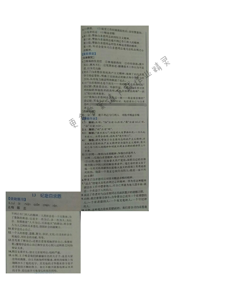 金学典同步解析与测评七年级语文上册（人教版）13.纪念白求恩