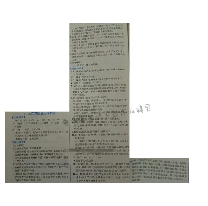 金学典同步解析与测评七年级语文上册（人教版）9.从百草园到三味书屋