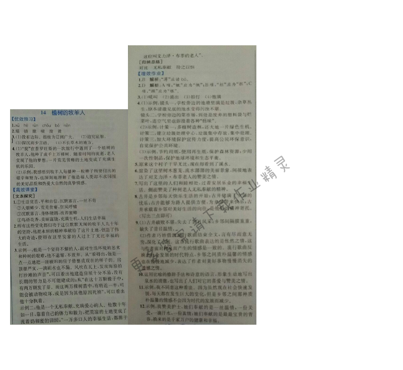 金学典同步解析与测评七年级语文上册（人教版）14.植树的牧羊人