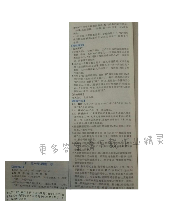 金学典同步解析与测评七年级语文上册（人教版）15.走一步，再走一步